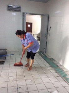 圖 上海專業(yè)工程開荒保潔 日常保潔 地毯清洗 工廠保潔外包等服務 上海保潔清洗